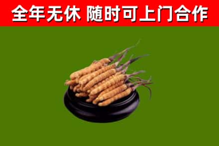 望奎烟酒回收冬虫夏草.jpg