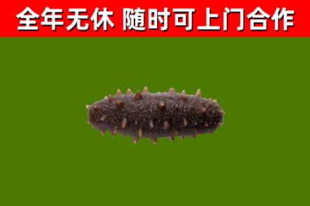 望奎烟酒回收干海参.jpg